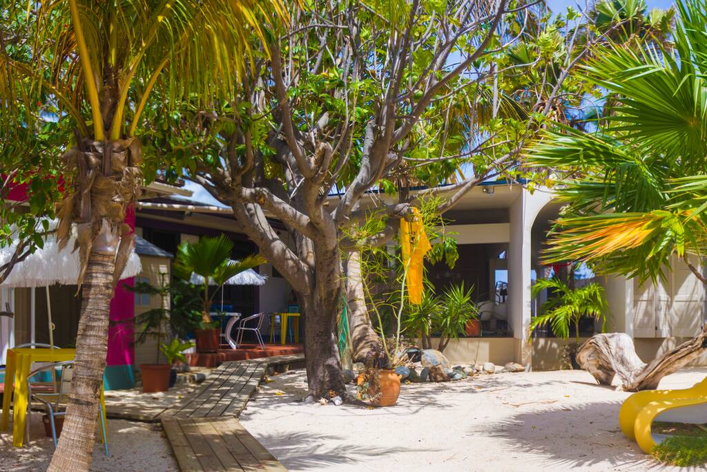 tropical garden