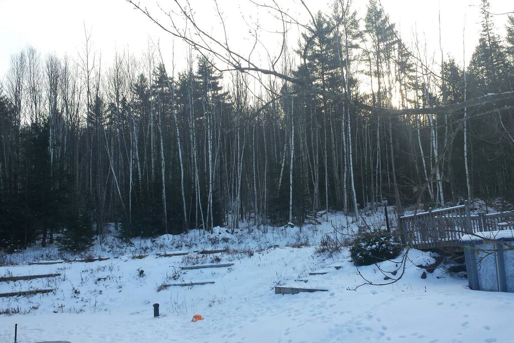 Winter