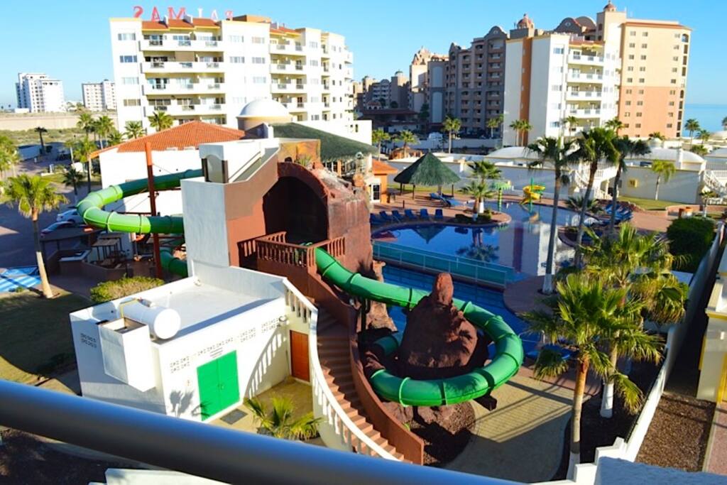 Tree,Palm Tree,Playground,Building,Architecture