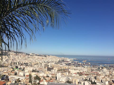 Amazing view on the bay of Algiers