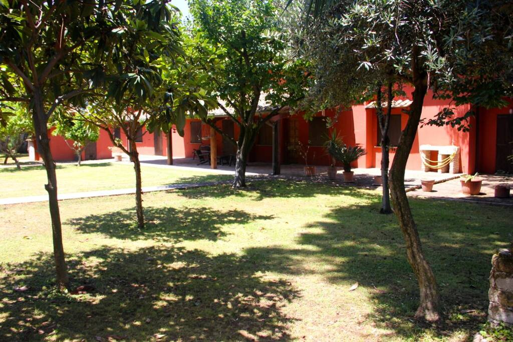 House and Garden