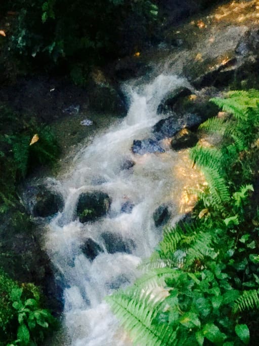 Brook that runs down from the top of the mountain into the park directly across the street from my building. The hike to the top is worth it. Peaceful, safe, & magnificent views of the city below!