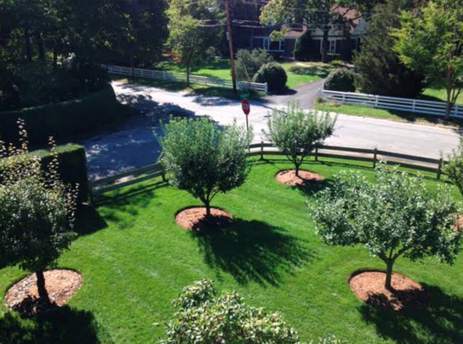 Your very own apple and pear orchard