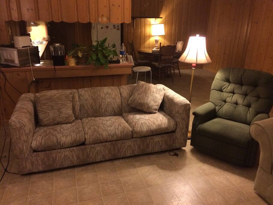 This couch is a fold-out bed, but I think green couch is most comfy. You can pick this or the other couch if you like.