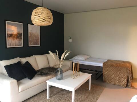 Townhouse end apartment with private sauna 6