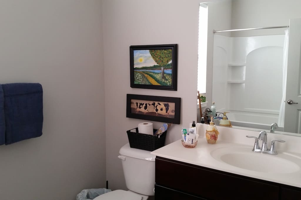 Private bath with tub/shower and brand new towels.