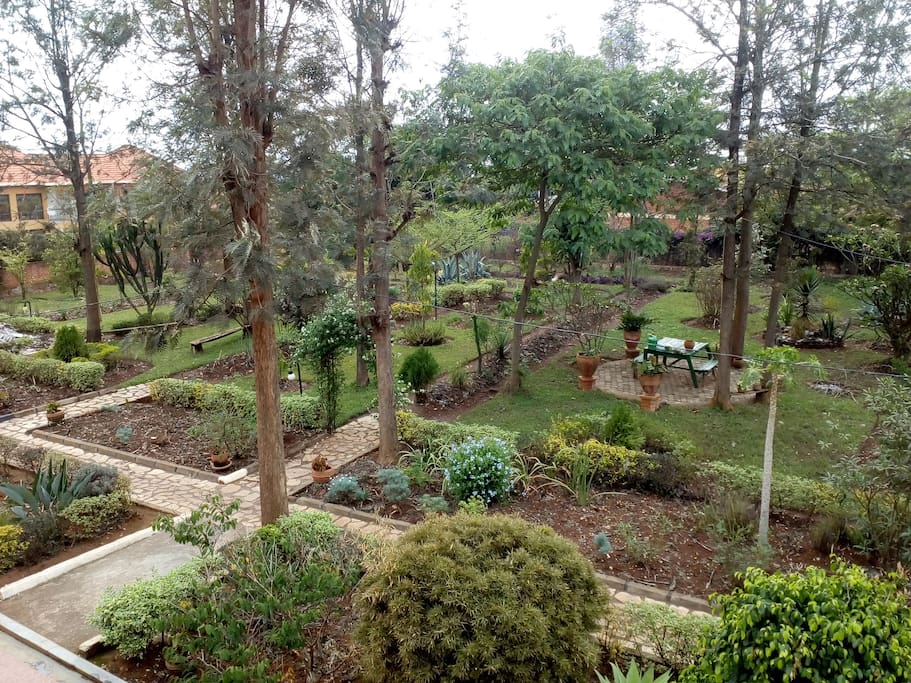Front garden