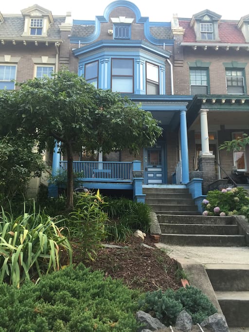 Front of house