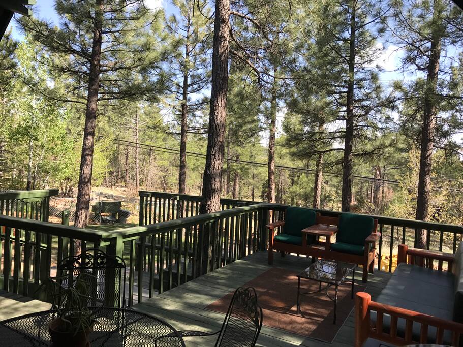Deck surrounded by forest