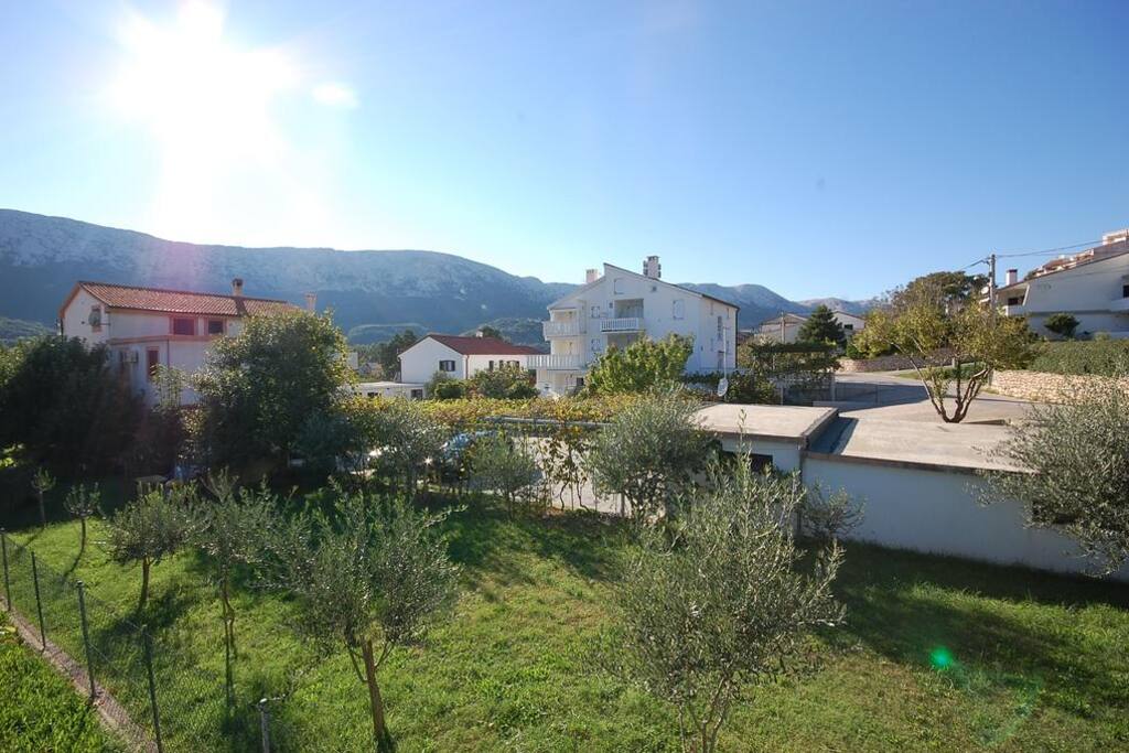 house surrounding