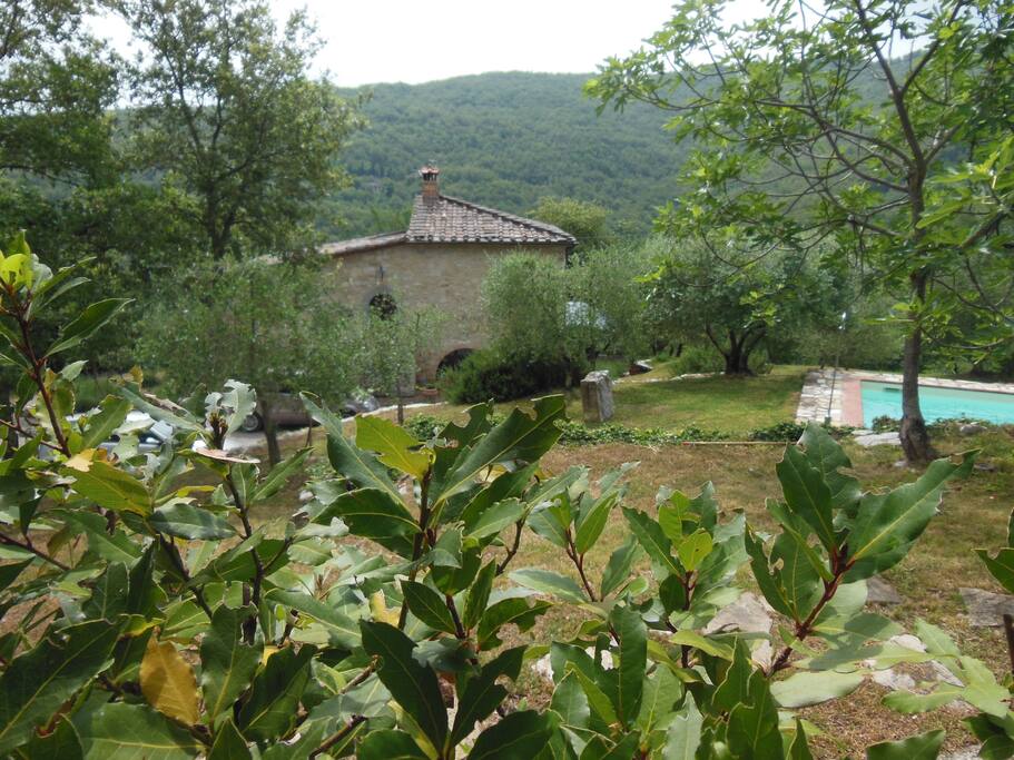 Vista sulla piscina e sulla casa principale