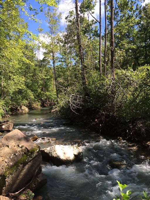 This is the creek that runs along the property.