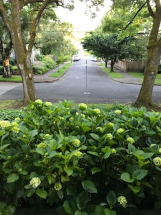View of the street from the front porch of the main house