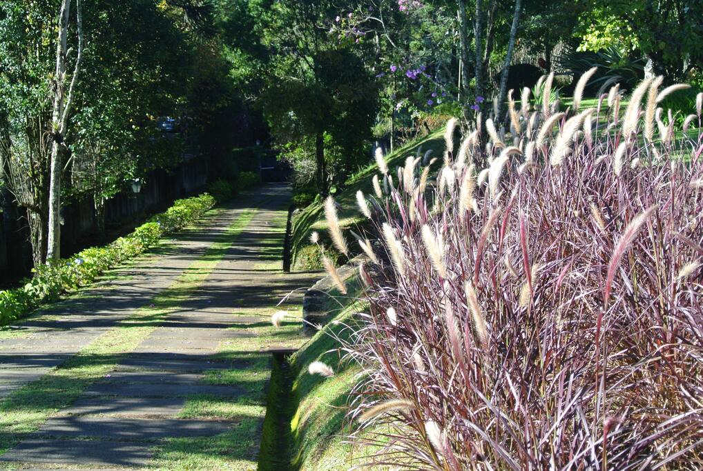 Acesso de entrada pela Rua