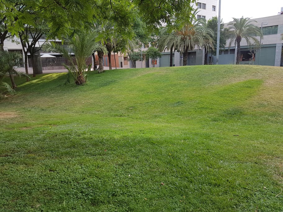 jardin cesped debajo de casa