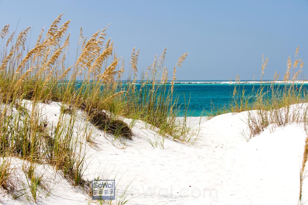 majestic dunes