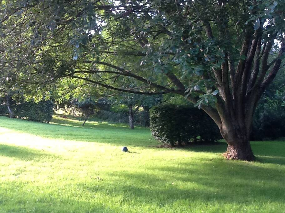 The private garden for you to enjoy