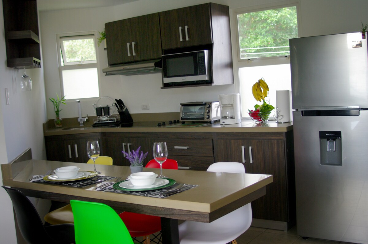 Lovely Apt#72 with rooftop terrace in San Jose — 2 bedroom vacation rental in San Pedro