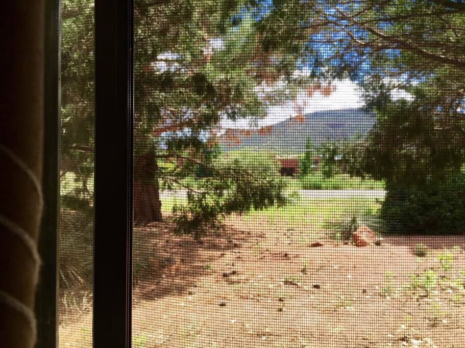 View through the window
