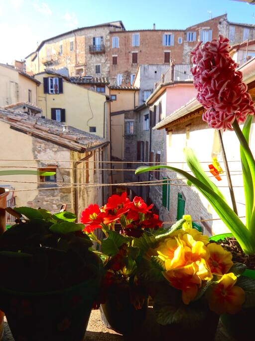 Vista su via della madonna e i tetti perugini!