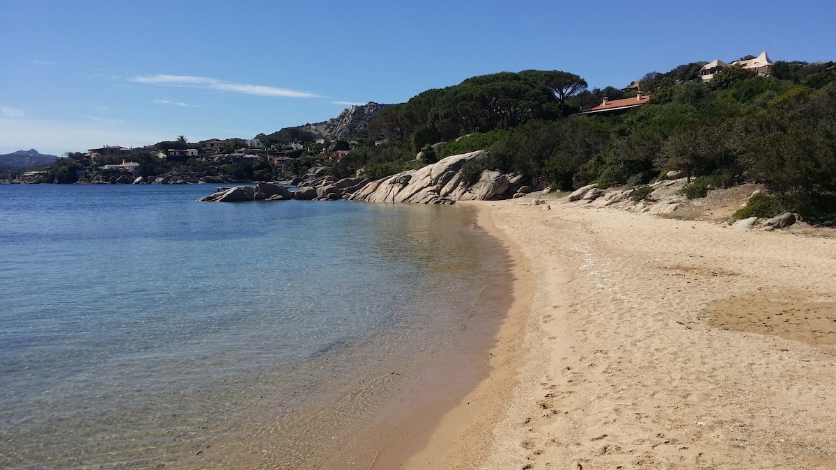 A sandy beach stretches along a calm shoreline, bordered by gentle waves lapping at the shore. Rocky formations and lush greenery are visible in the background, complemented by a clear blue sky highlighting the serene coastal environment.