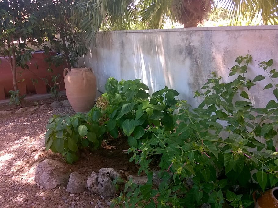 Giardino