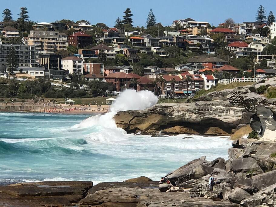 Fabulous walk to Tamarama/ Bronte around the cliffs