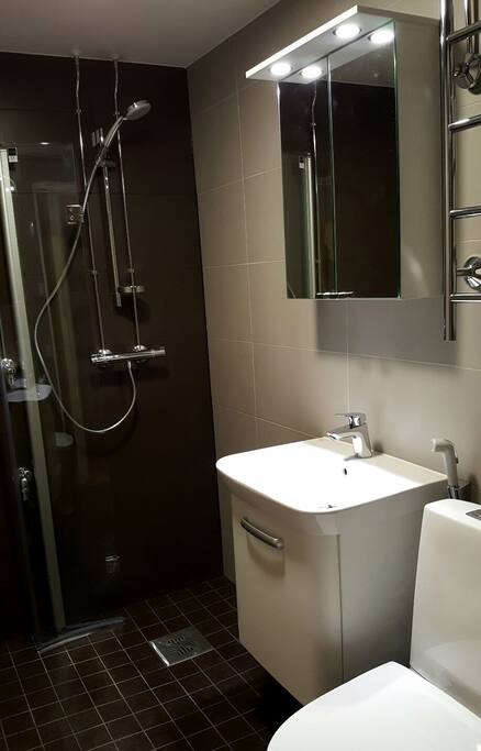 the un used bathroom as the piping renovation was ready for the bathroom area in 13.4.2017