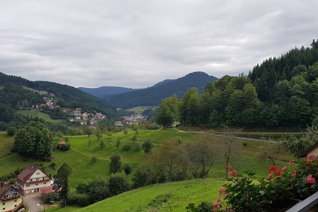 Ausblick vom Balkon
