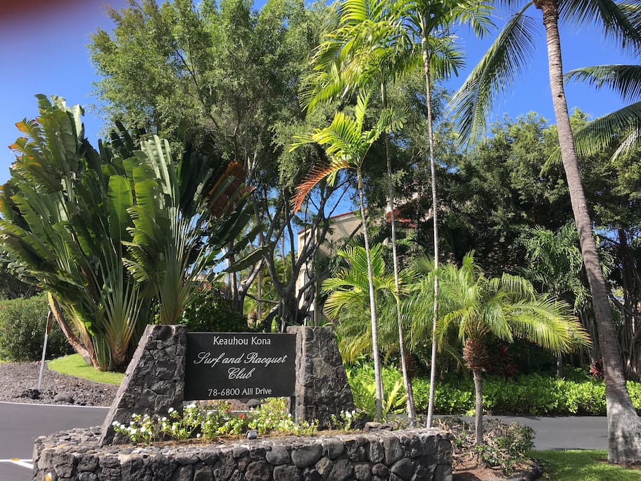 Perfect location at the end of Ali'i Drive