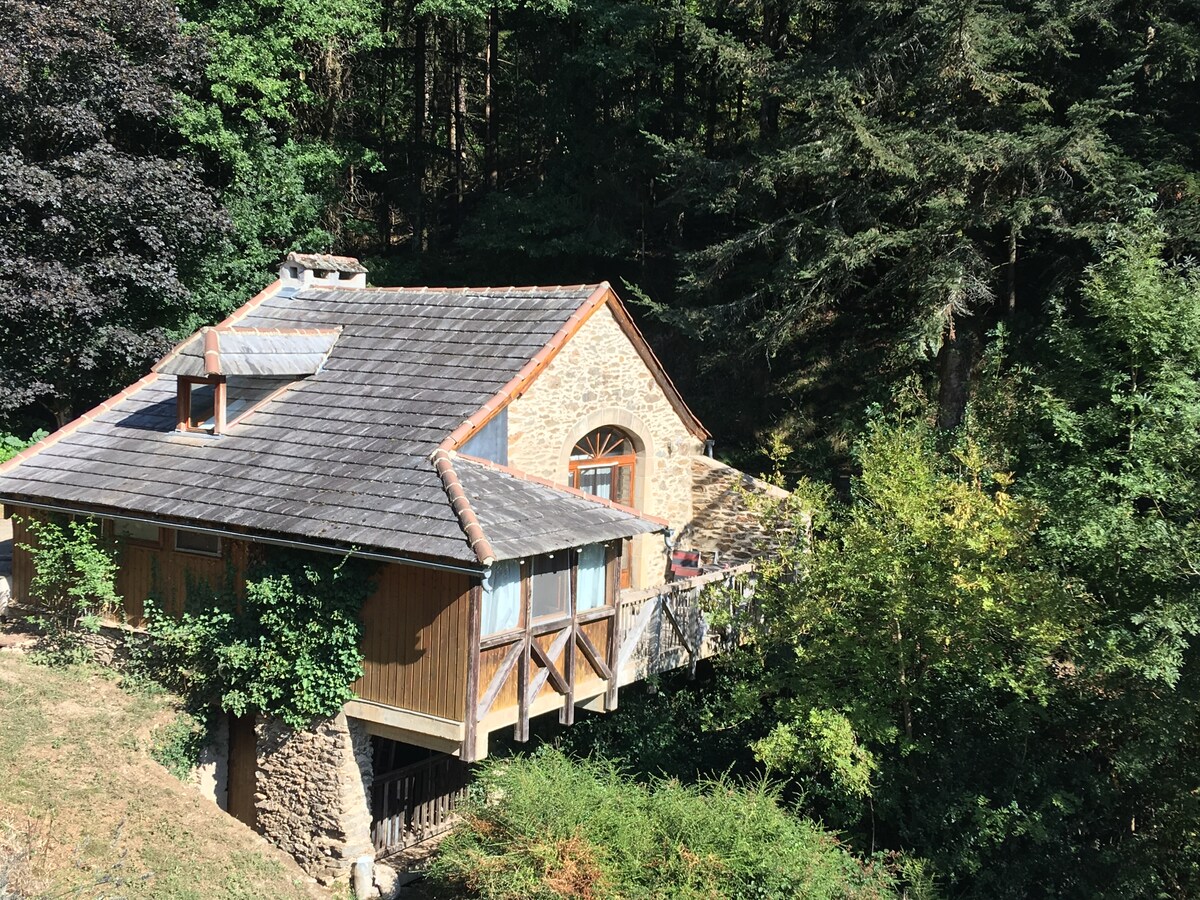 A renovated stone mill is positioned among lush greenery, showcasing a blend of natural materials and modern design. Large windows allow natural light to fill the living space, while a spacious terrace extends outward, providing an unobstructed view of the surrounding forest.