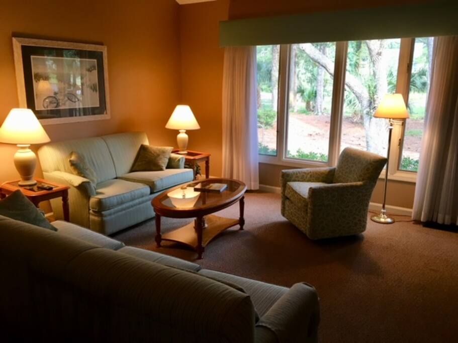 Living room with sleeper sofa and digital TV