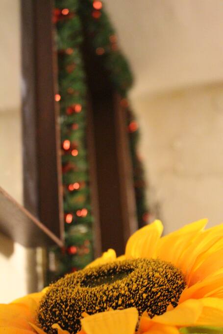 Ingresso dettaglio