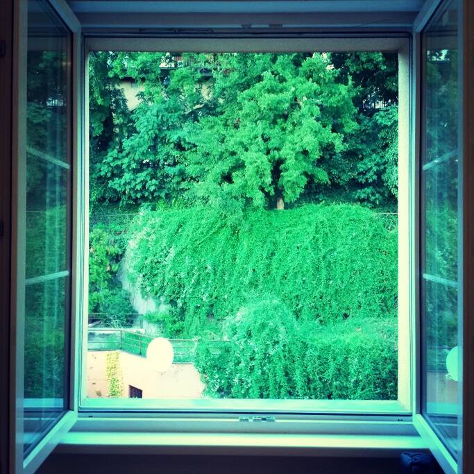 A little green in the heart of the city!