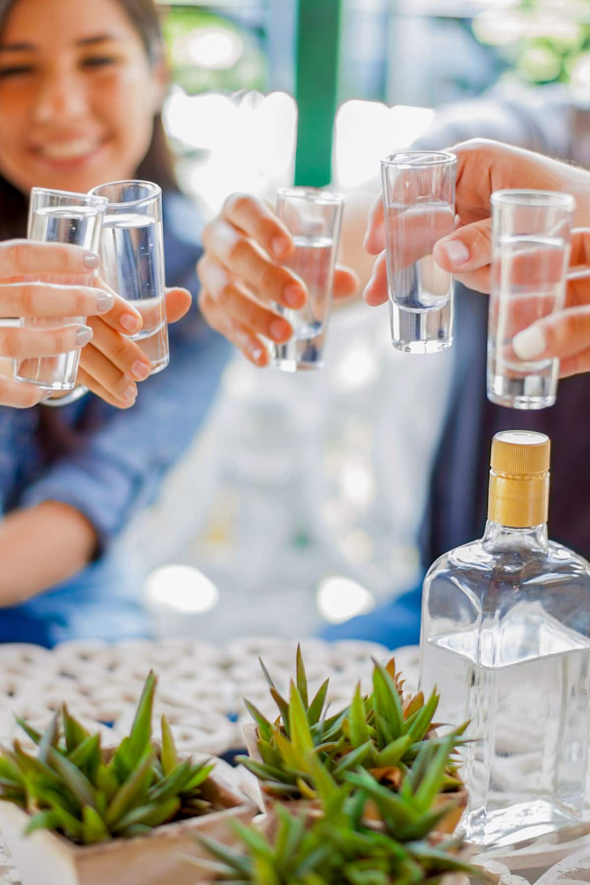 Merida tours: people putting their shot glasses together to cheers with clear-colored mezcal in mexico