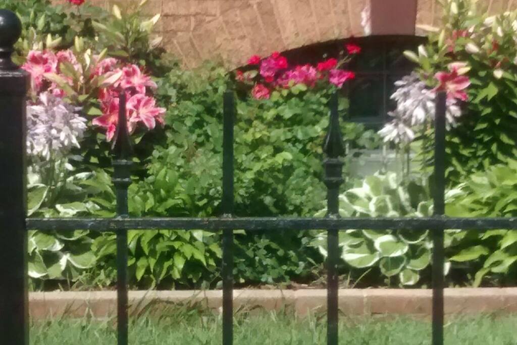 Our fragrant front yard during the summer.