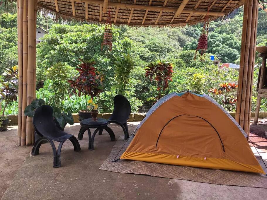 2 Person Camping Tent