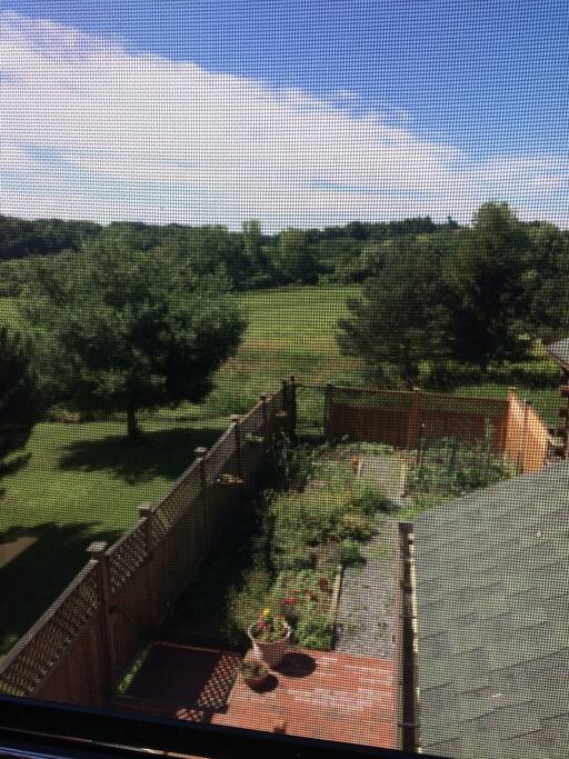 View of the garden out of the bedroom window