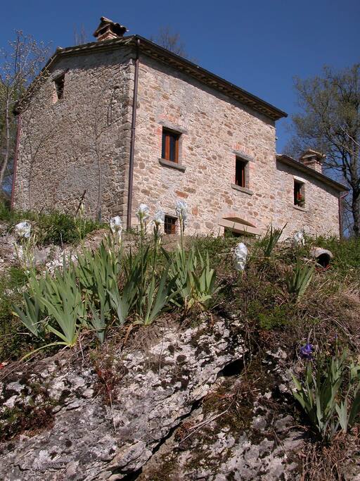 il Mulino in spring