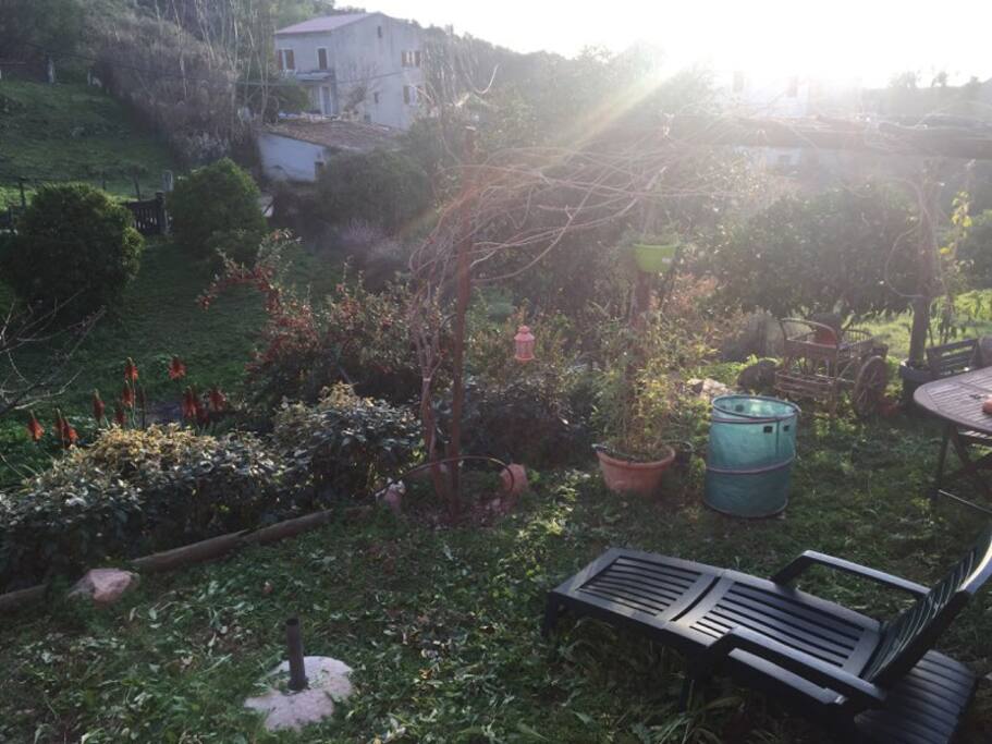 Jardin de devant disposant d’une table extérieure sous pergola