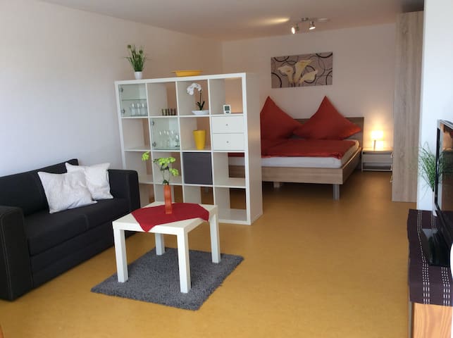 Airbnb Radolfzell Vacation Rentals Places To Stay Baden