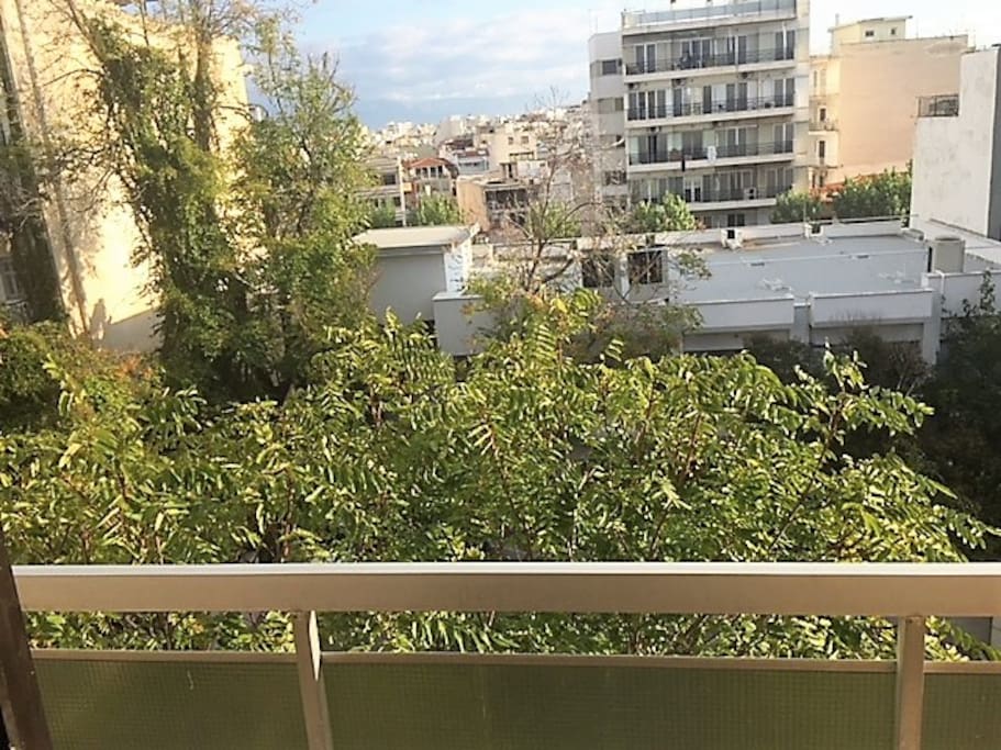 view from the rear balcony