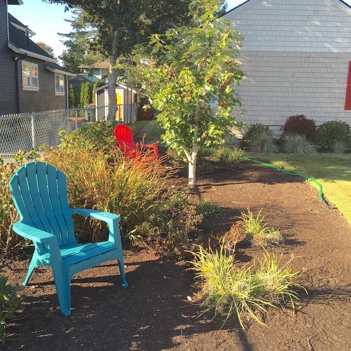 Just a pop of color in our garden.