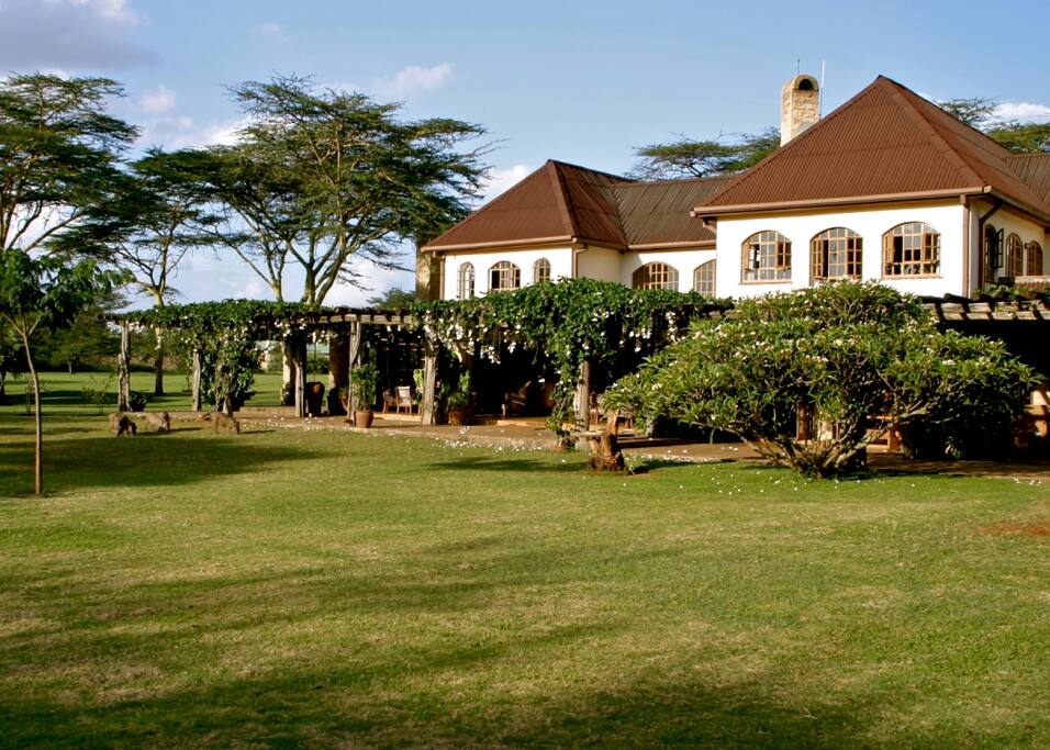 Casa Ya Ndoto - Side view