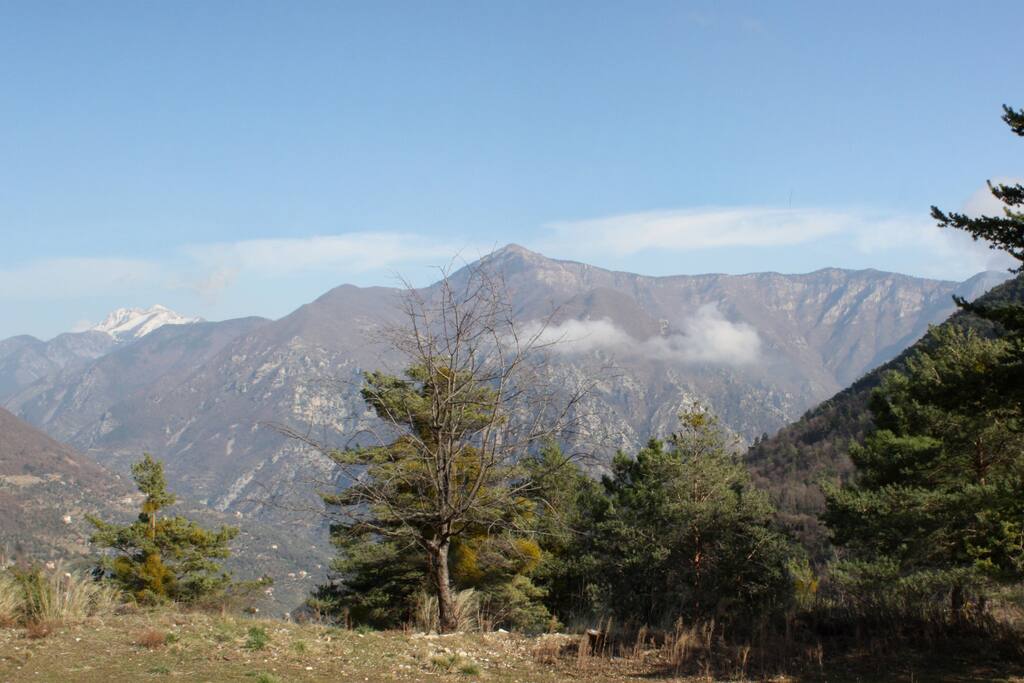 Le panorama