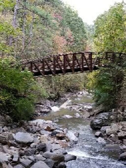 10 minute walk from rental, in Chatahoochee National Forest