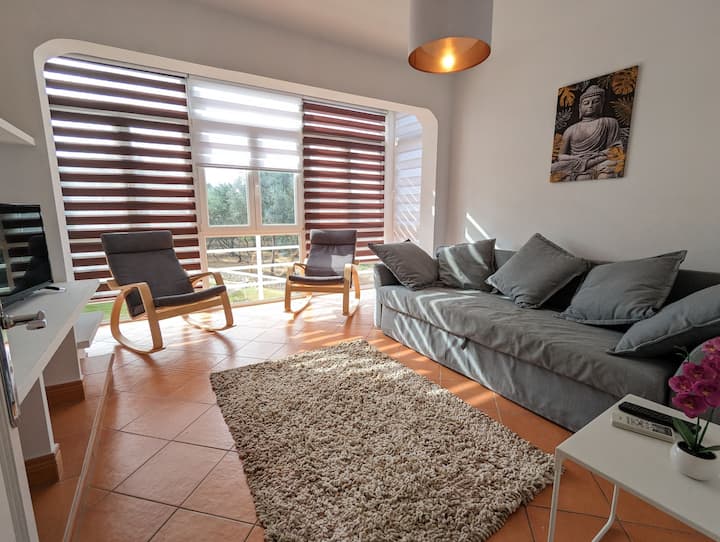 صالة مريحة/غرفة تلفزيون مع سرير أريكة وكرسيين هزازين حديثين وتكييف هواء. يطل على الحديقة الجميلة. تلفاز ذكي بشاشة مسطحة.