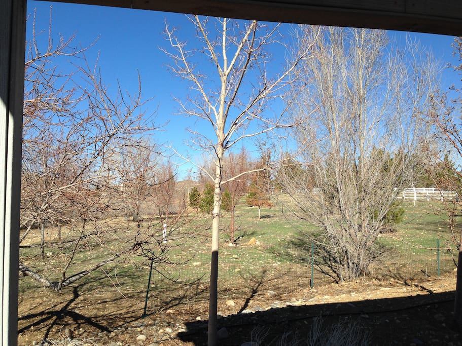 View from back deck