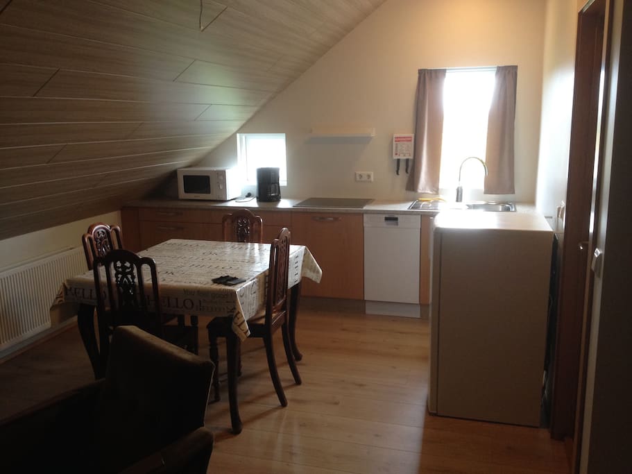 The kitchen in the studio apartment