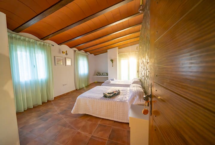 בתור סמל של הכרת תודה ושפע, הפרח הזה הוא חדר השינה הגדול ביותר בבית. זה הודות להיסטוריה שלנו היום,  אז אפשר היה לשחזר את המקום הזה. יש בו שתי מיטות זוגיות, ארון גדול, ספסל מזוודות, שני חלונות בחוץ, מרפסת קטנה ומפתח אישי.